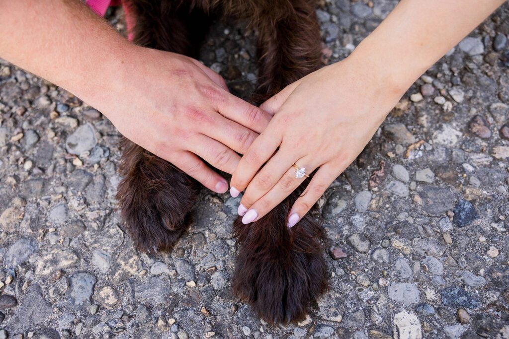 Engagement photos with a dog